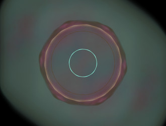 Similar image 21624130