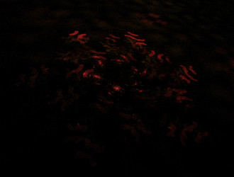 Similar image 21623479