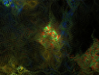 Similar image 21610376