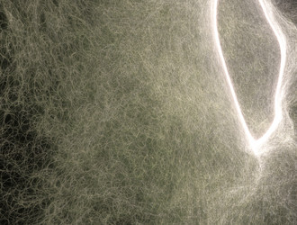 Similar image 21613723