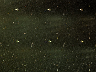 Similar image 21617074