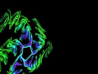 Similar image 21613732