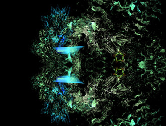 Similar image 21622232