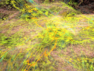 Similar image 21622912