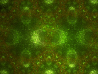 Similar image 21626335