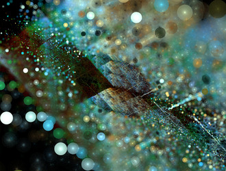 Similar image 21625306