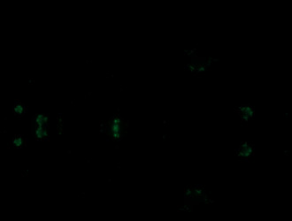 Similar image 21616702