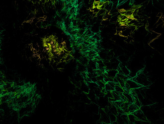 Similar image 21624837