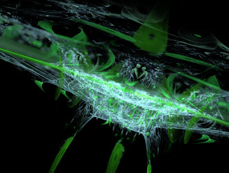 Similar image 21619006