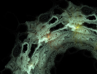 Similar image 21624139