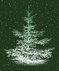 Similar image 21607309