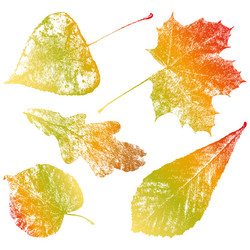 Similar image 21607316