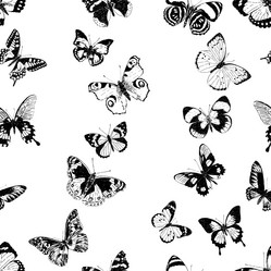 Similar image 21559405