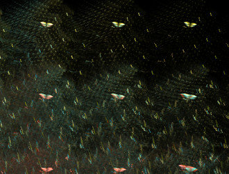 Similar image 21619009