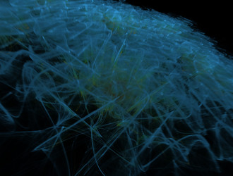 Similar image 21619839