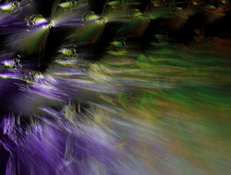 Similar image 21613736