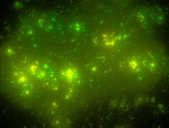 Similar image 21625559