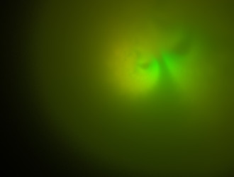 Similar image 21612906