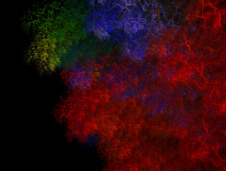 Similar image 21625322