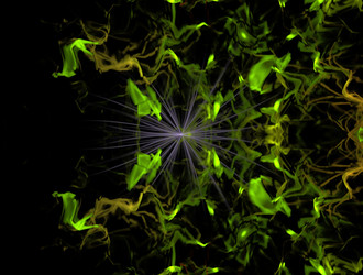 Similar image 21625126