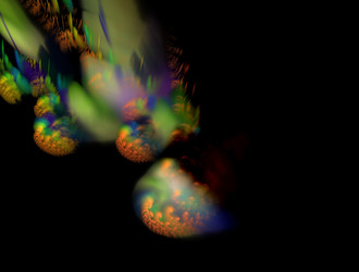 Similar image 21612916