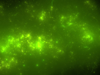 Similar image 21615500