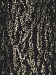 Similar image 21607349