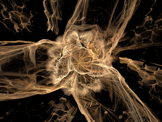 Similar image 21623499