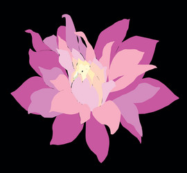 Similar image 21559505