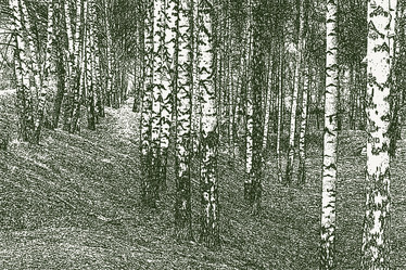 Similar image 21559633