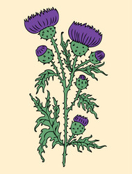 Similar image 21559638