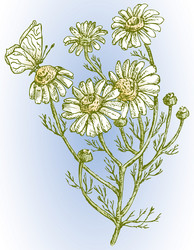 Similar image 21559798