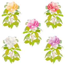 Similar image 21559801