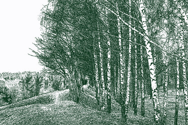 Similar image 21559804