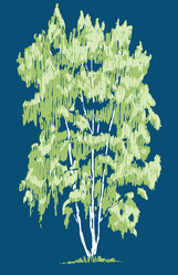 Similar image 21607911