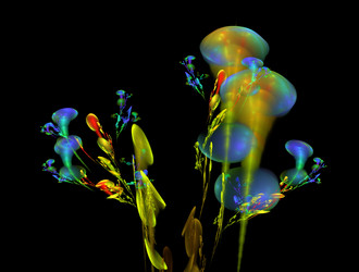 Similar image 21612161