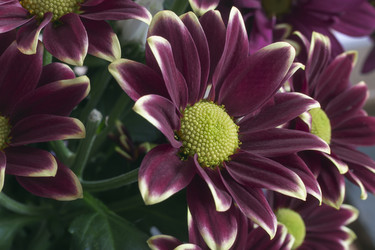 Similar image 21561530