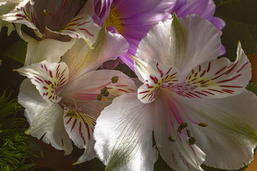 Similar image 21561460