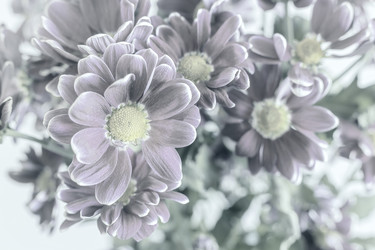 Similar image 21561461