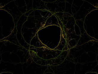 Similar image 21625132