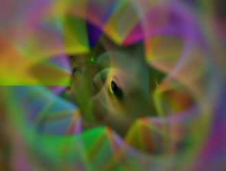 Similar image 21625330