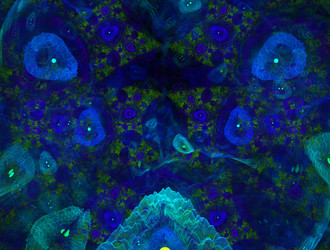 Similar image 21620566