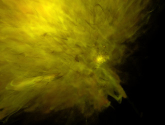 Similar image 21612937