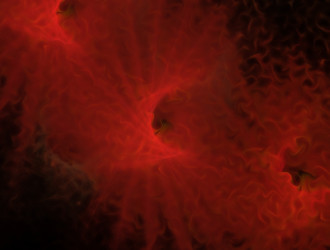 Similar image 21618161