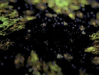 Similar image 21618164