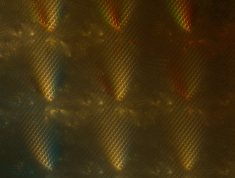 Similar image 21624844