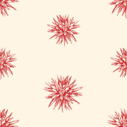 Similar image 21559828