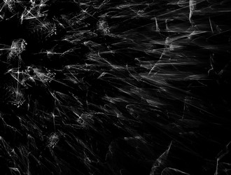 Similar image 21623510