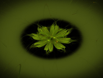 Similar image 21612949