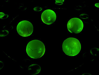 Similar image 21612166